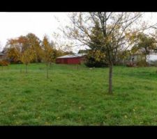 Vue panoramique du fond du terrain (au couleur de l'automne!)