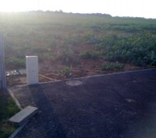 Le terrain et le compteur EDF