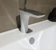 Hansgrohe pura vida blanc