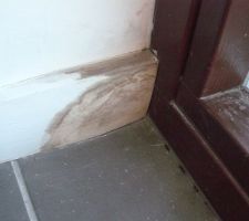 APRÈS 6 ans les plinthes autour des baies vitrées prennent toujours l'humidité et pourrissent les unes apres les autres ... ça commence à gagner le mur au dessus pour certaines d'entre elles