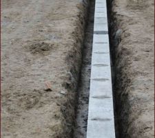 Vide sanitaire