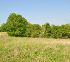 On viens de recevoir l'offre de pr&ecirc;t de la banque... on peut enfin commencer &agrave; r&ecirc;ver