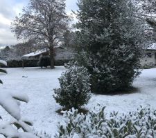 Terrain sous la neige