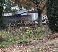 Une photo du bois coupé et récupéré bien entendu. On voit aussi au fond à droite les blocs de béton que j?ai du faire évacuer!