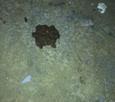 ce que les sous traitants de maison sésame nous laisse dans le vide sanitaire