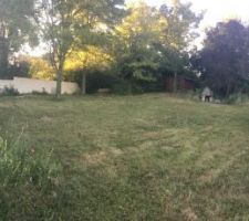 Vue depuis l'entrée de notre terrain