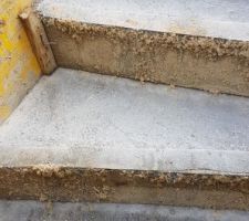 24/11/2018 : Avec les fortes pluies de la nuit l'escalier a &eacute;t&eacute; l&eacute;g&egrave;rement ravin&eacute;, rien de grave apparemment le carreleur pourra corriger.