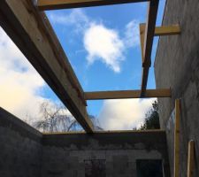 09/01/19 : Retour des charpentiers sur le chantier, les structures progressent