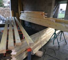 16/01/19 : Les charpentiers avancent a leur rythme