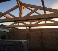 16/01/19 : Les charpentiers avancent a leur rythme