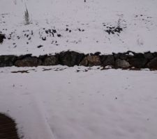 Neige de janvier
