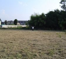 Surprise on retrouve notre futur terrain tondu