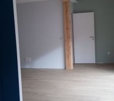 Ajustement des portes, pose des poignées et serrures