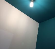 Partie pris de peindre le plafond de la même couleur que le mur