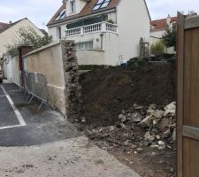 Nettoyage du terrain, évacuation des gravats et des terres