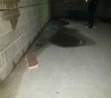 01/02/19 Humidité sous-sol
Le cst a t'il le droit de livrer?