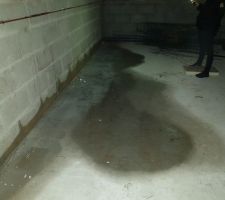01/02/19 Humidité sous-sol
Le cst a t'il le droit de livrer?