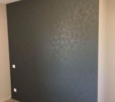 Proposition du peintre pour un noir lumineux
réalisations effet LUMIO, superposition de satin et de mat à l?éponge