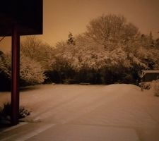 Neige by night
