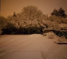 Neige by night