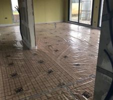 Chape mousse effectu&eacute; ?