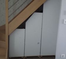 Placard sous escalier
Assemblage fini. Prochaine étape porte coulissante pour l'habillage et le trou pour l'accès aux litière des.minous