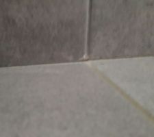 Il n'y a plus de joint entre la plainte en le carrelage