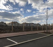 C?est parti, Artenova commence à clôturer le chantier et délimiter les parcelles des terrains ... mais attention au contre temps car le froid et la neige font des caprices