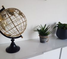 Globe terrestre, aloe vers et mini bananier