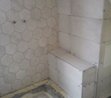 Carrelage hexagonal dans la douche