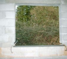 Fen&ecirc;tre de la cuisine