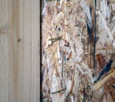 Agrafes dans l'OSB de 12 mm