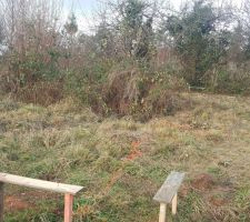 Bornage de la maison