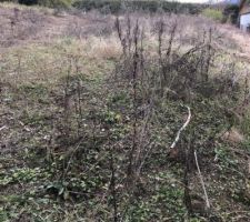 Préparation du terrain pour le le terrassement