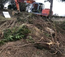 Le terrassier coupe les arbres