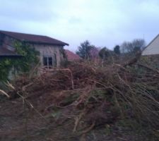Débroussaillage du terrain inhabité depuis 25 ans