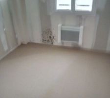 Vue chape liquide avec moisissures.