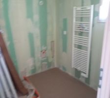 Vue chape liquide avec moisissures.