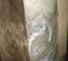 Humidité dans la future buanderie