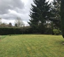 Le terrain du coté arrière de la maison