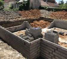 Vide sanitaire