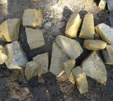 17 pierres remontées, heureusement qu'elles n'étaient pas toutes grosses...
Difficile de les sortir de la terre argileuse quand elles y étaient bien engluées.