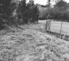 Entr&eacute;e des deux parcelles