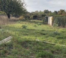 Avant - Allee de 50m pour arriver jusqu?&agrave; la maison. Le terrain est en &laquo;&nbsp;drapeau&nbsp;&raquo; en lot arri&egrave;re
