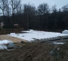 Bonjour tout le monde
Voici un petit article pour l'évolution de la maison. 
Le plancher hourdis sur poutrelle a été fait le 25 janvier.:) 
La dalle à ensuite était coulée. 
Le 29 janvier.
C'en est suivi 3 semaines de séchage. 
Entre temps la  livraison de la charpente et des briques a été faite.
L'élévation des murs doit avoir lieu cette semaine. 
Nous irons sur le terrain cette semaine pour vous montrer des photos. 
Nous sommes très heureux de voir l'évolution.  
Alexia et Niclas