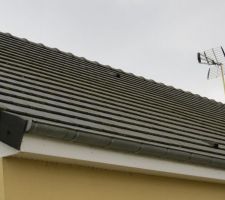 Tuiles 8 ans après exposées nord nord est