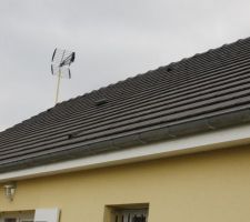 Tuiles 8 ans après exposées sud sud-ouest