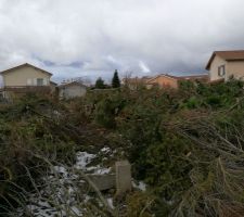 Arbres et haies abattus, prochaine &eacute;tape broyages des branches.