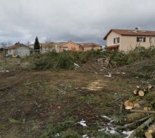 Arbres et haies abattus, prochaine &eacute;tape broyages des branches.