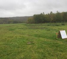 En forme de rectangle du champs de bl&eacute; jusqu?au petit bois